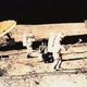 Image for article titled The weirdest and most unbelievable things that humans have sent into space